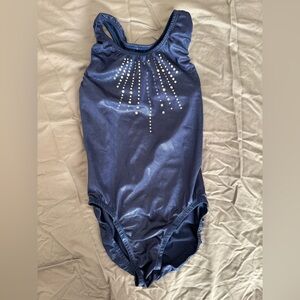 Shimmery Blue Leotard